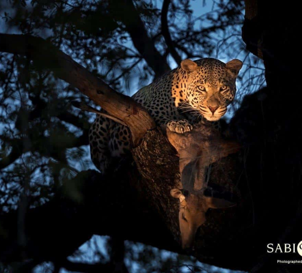 17Francois Malan WD Kill 20181021 2 Of 3 Final