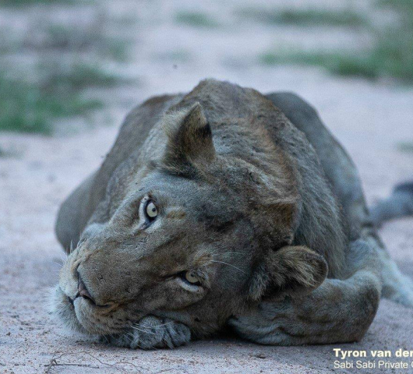 21Tyron Van Der Walt Sand River Male 280420 3 Final