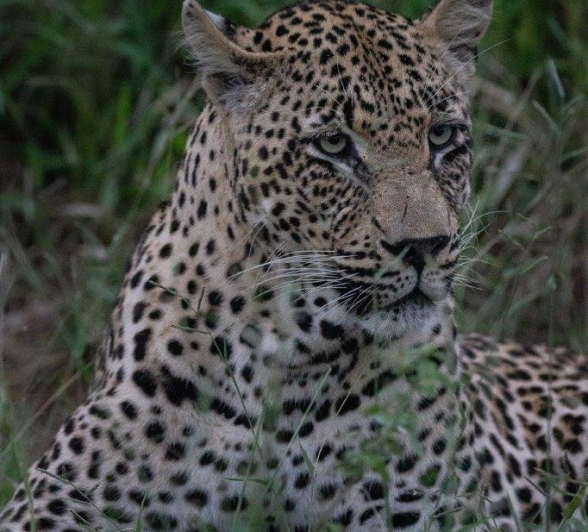 21Louise Murray Nweti 06022021 1 Final