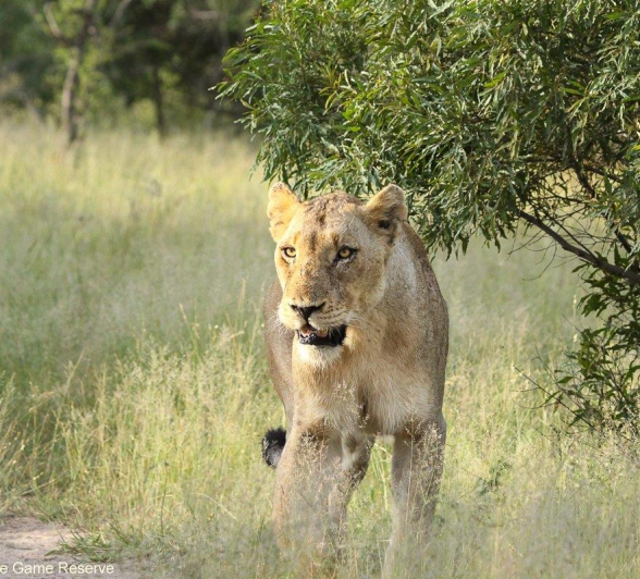 A01Erin Herbst Kambula Infertile 1 080222 Final