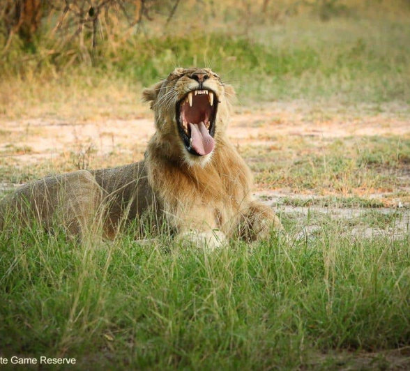 33Ally Ross 202004118 Sand River Male 02 Final