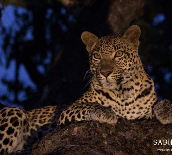 14Franscois Rosslee Kigelia 230517 1 Final