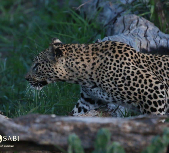 14Steff McWilliam Blog013 Final