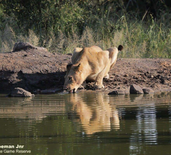 40Stefan Schoeman Jnr Mhangeni 26032020 2 Final 40Stefan Schoeman Jnr Mhangeni 26032020 2 Final