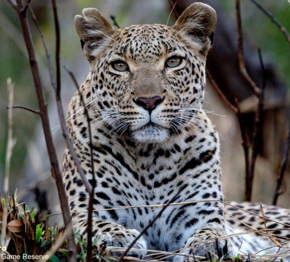 A37Ronald Mutero Keegelia Female 09082021 3 Edit Final