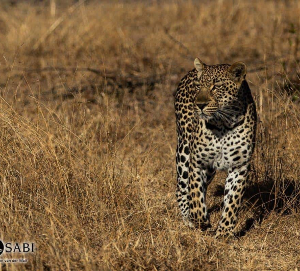 21Tyron Van Der Walt Msuthlu 23072019 2 Final 21Tyron Van Der Walt Msuthlu 23072019 2 Final