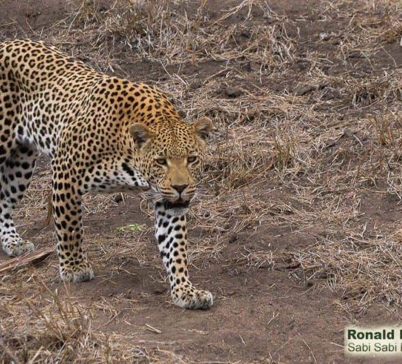 14Ronald Mutero White Dam 24102019 17 Final 14Ronald Mutero White Dam 24102019 17 Final