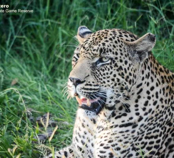 27Ronald Mutero Mweti 20022020  3 Final 27Ronald Mutero Mweti 20022020  3 Final