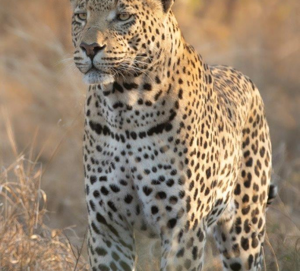 25Tyron Van Der Walt White Dam 150721 Portrait Final