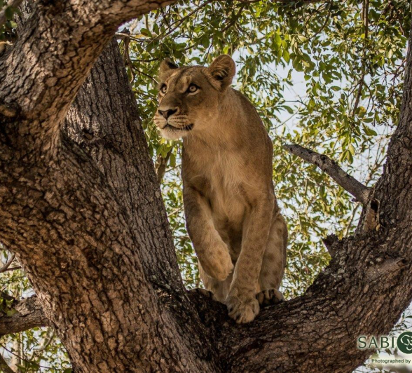 07Kevan Dobbie SP 2310.2 Final