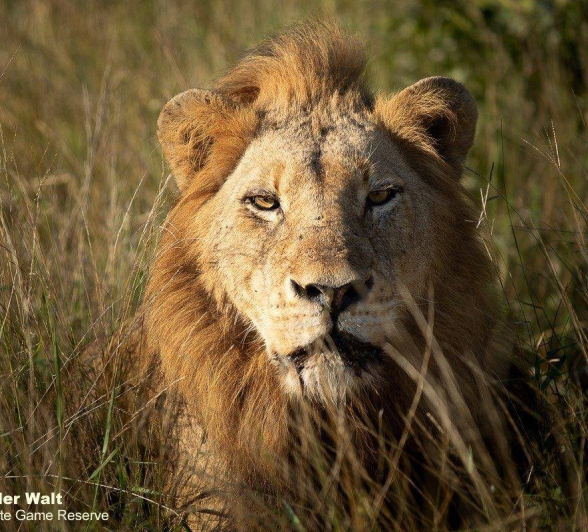 40Tyron Van Der Walt NWashishaka Males 210420 4 Final