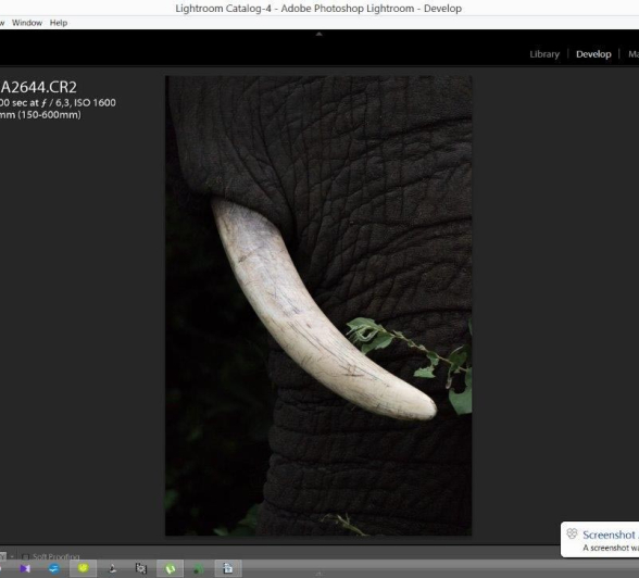 05 11April17 Sheldon Hooper Fade 5