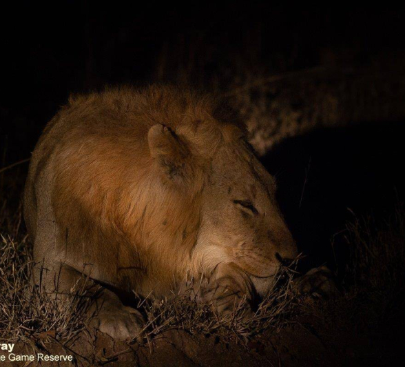 28Louise Murray Styx 02092020 1 Final 28Louise Murray Styx 02092020 1 Final