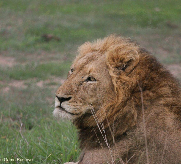 36Erin Herbst Nwaswishaka 1 301020 Final