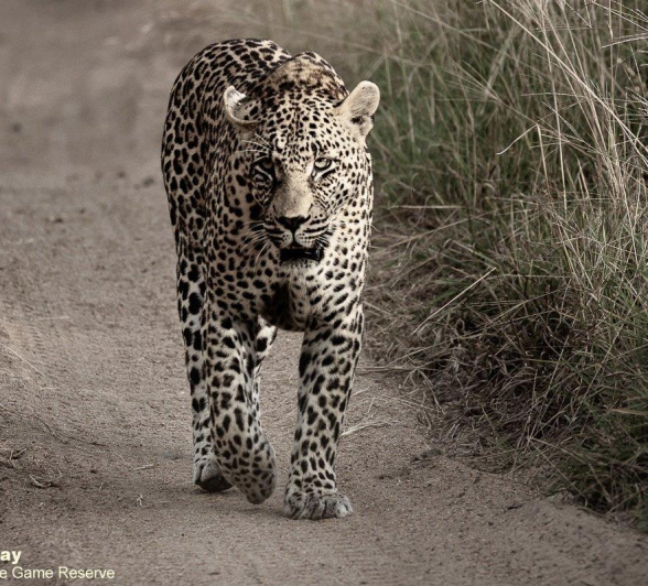 30Louise Murray Nweti 25032021 Final 30Louise Murray Nweti 25032021 Final