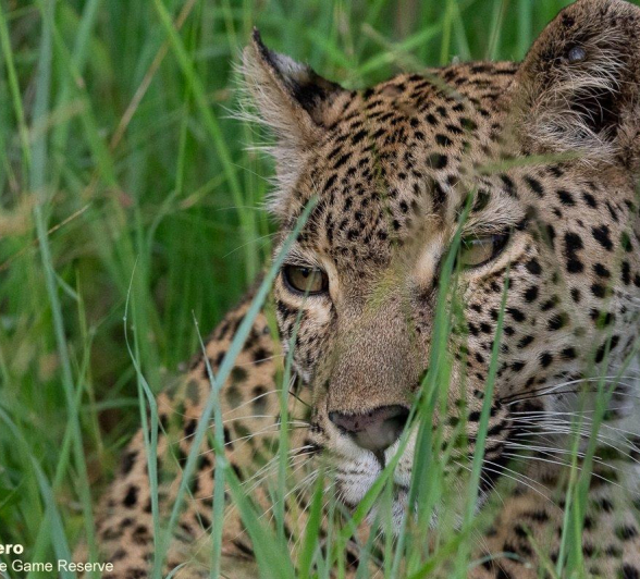 A19ronald Mutero Keegelia 19012022 Final