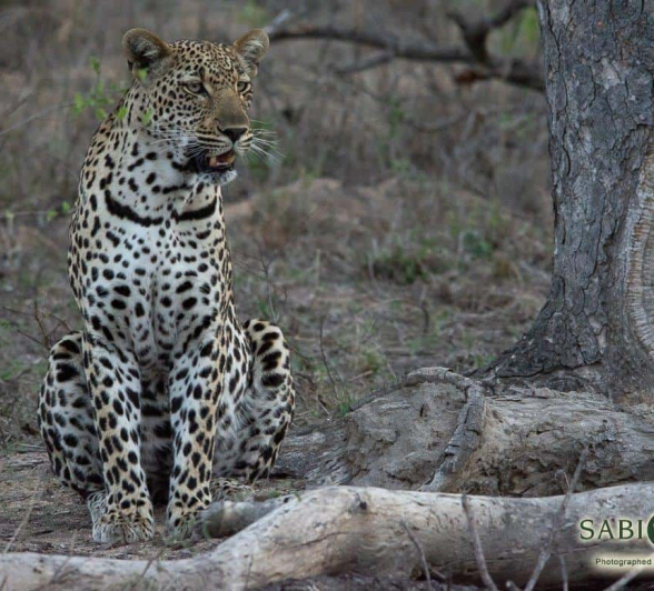 05Kerry Lee Roberg Msuthlu251118.2 Final