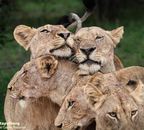 A24Coenraad Stapelberg Styx 201222 2 Final