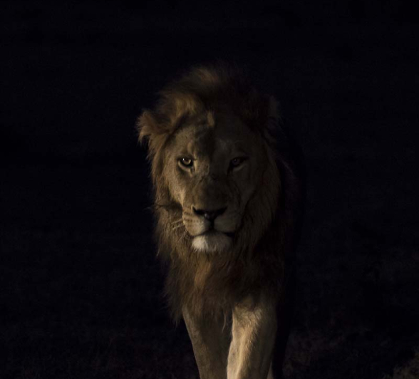 05Kyle 4 Ways Males 4 05Kyle 4 Ways Males 4