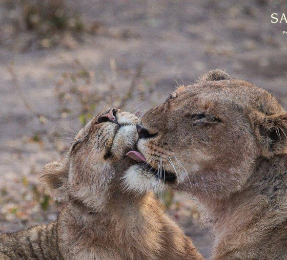 19Louise Murray Styx 25072019 Final 19Louise Murray Styx 25072019 Final