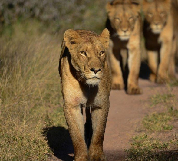 A10Jamiel SP2 140622 Final A10Jamiel SP2 140622 Final