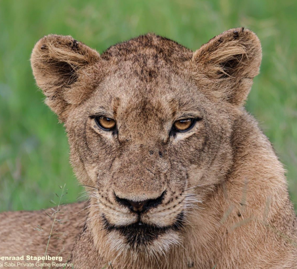 B04Coenraad Stapelberg Styx 150123 2 Final