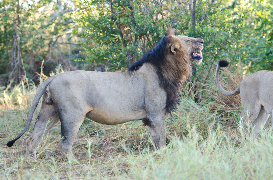 Southern Pride On Buff Kill 3 Southern Pride On Buff Kill 3