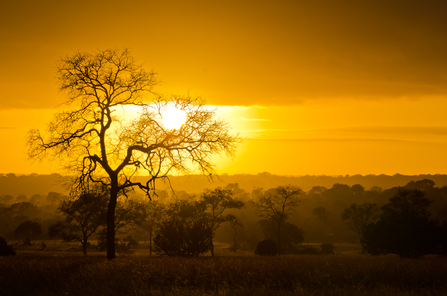Sunrise1 Sunrise1