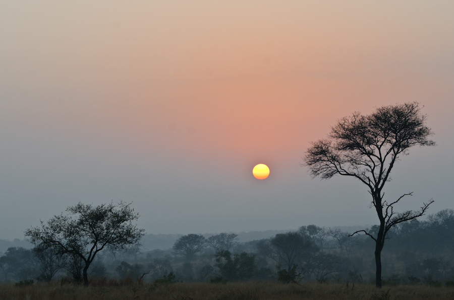 Week In Pictures 14 Week In Pictures 14