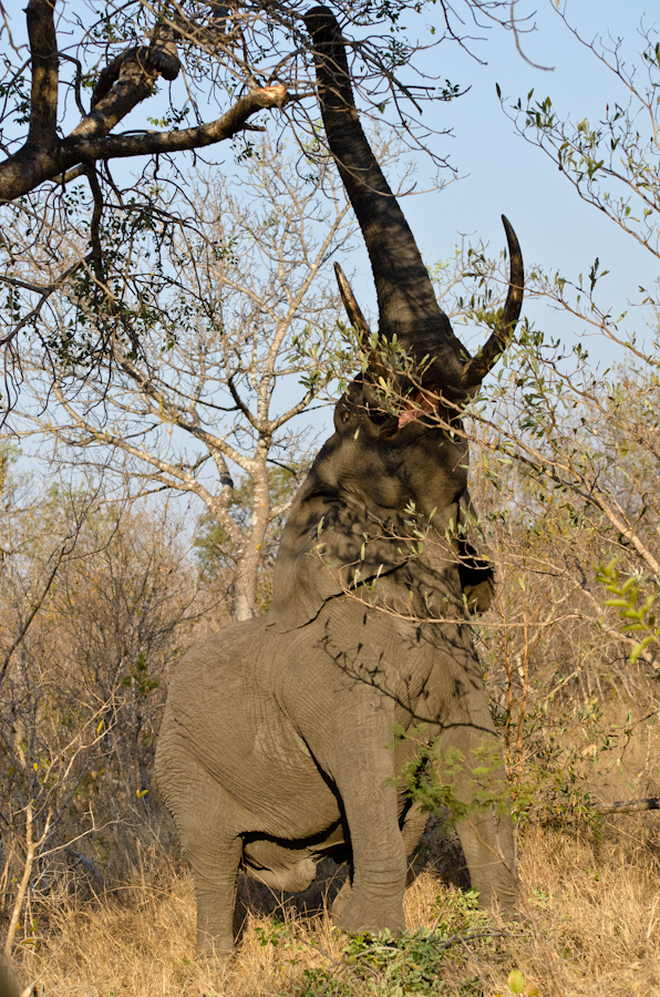 Nikon Family Weekend 8