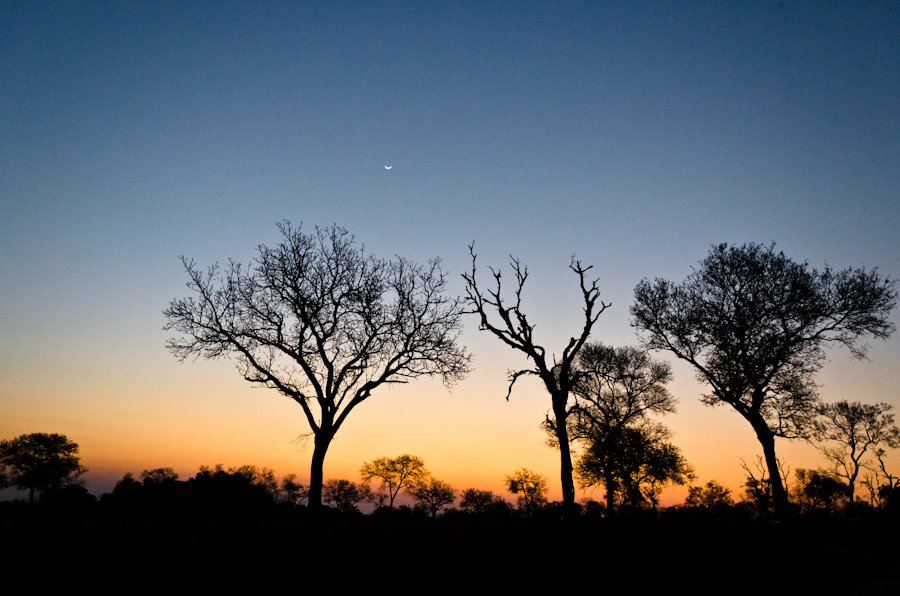 Sabi Sabi Photography 6