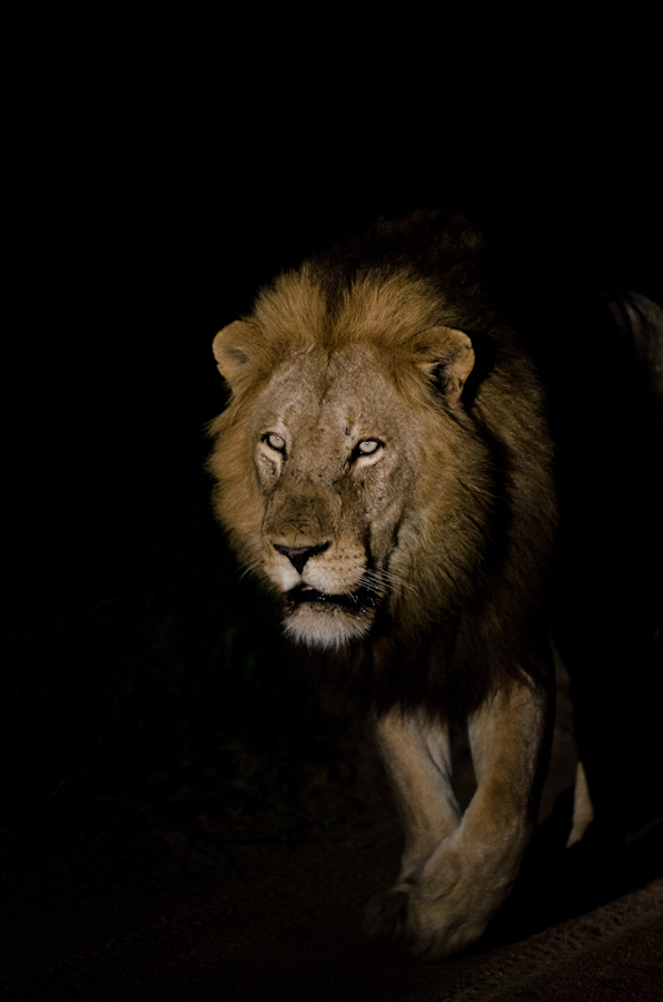 Majengilanes 4 Majengilanes 4