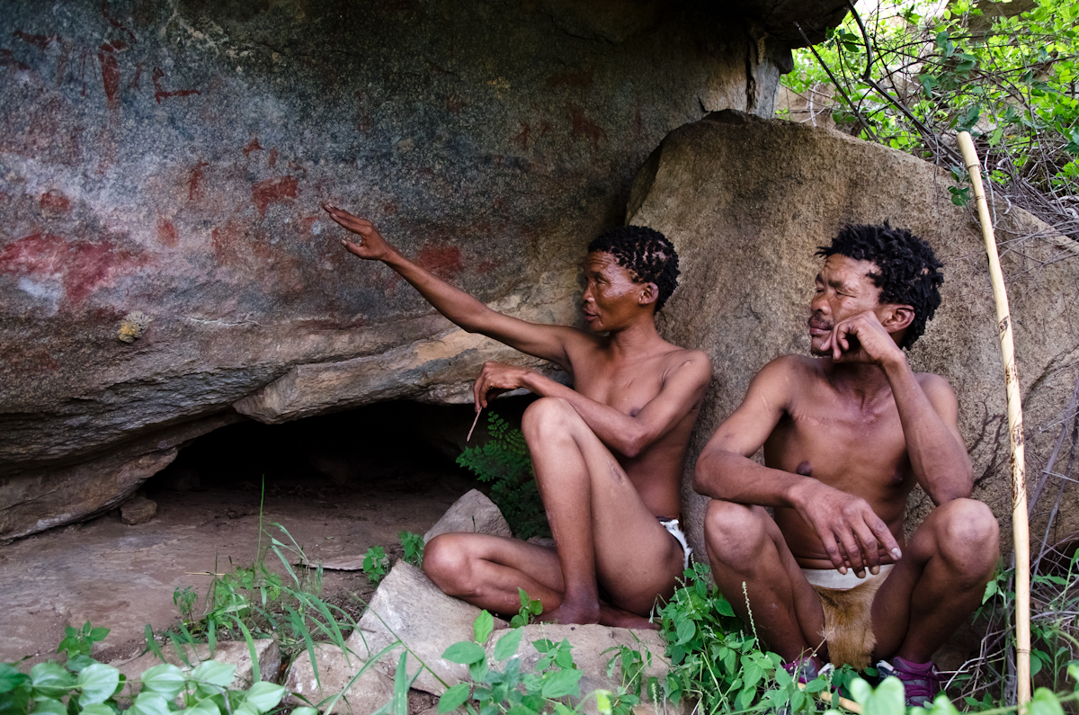 Bushman Paintings
