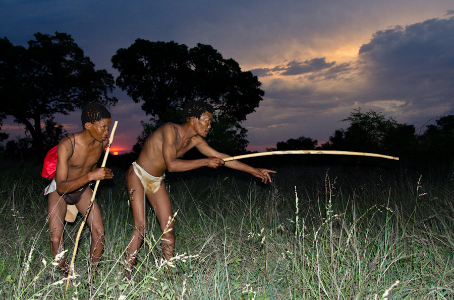 Bushman 7 Bushman 7