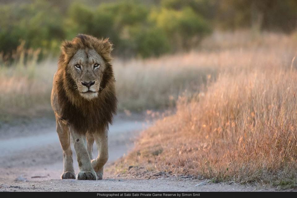 179714 523706547677001 343973469 N