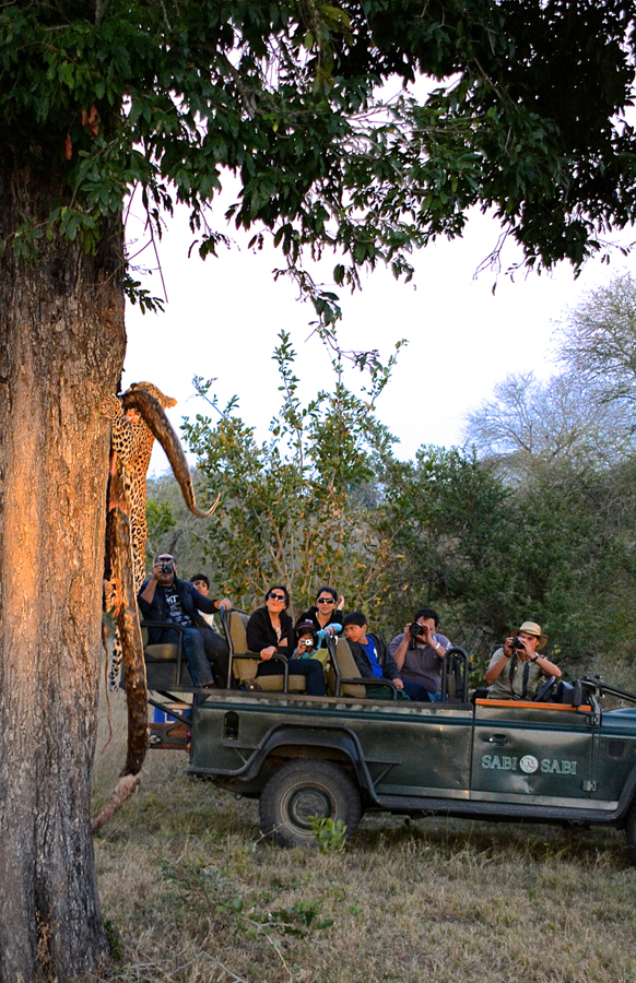 Nottins Python Pic 2 1 Nottins Python Pic 2 1