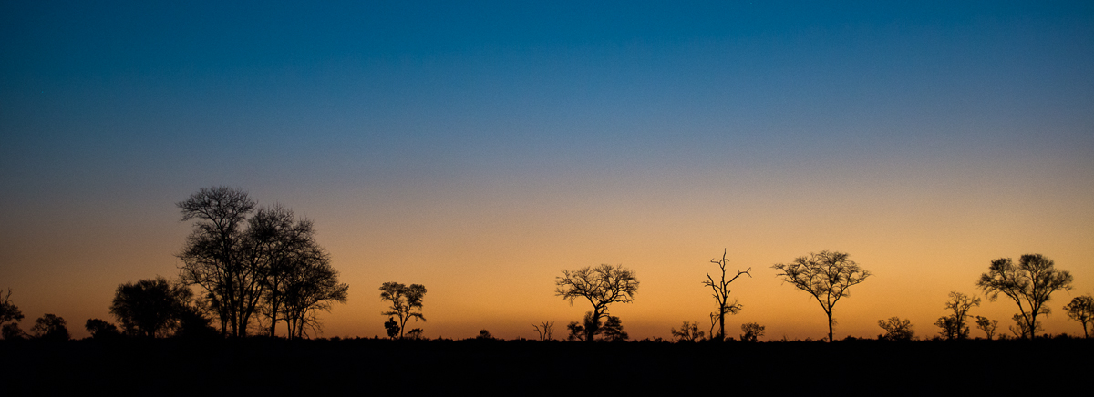 Sunset Sunset