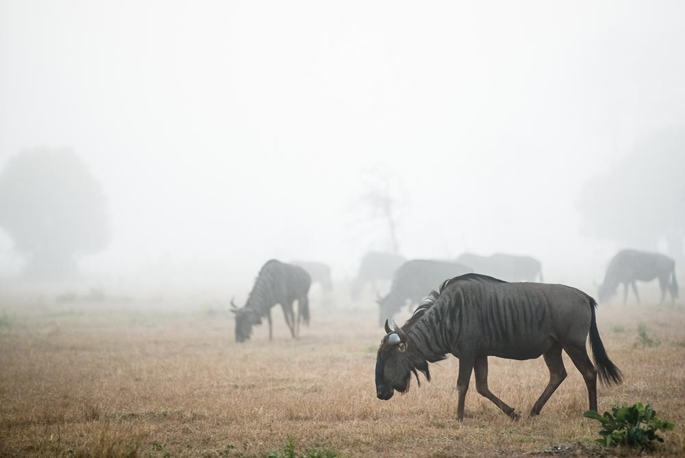 Cycle Favourites 3 C