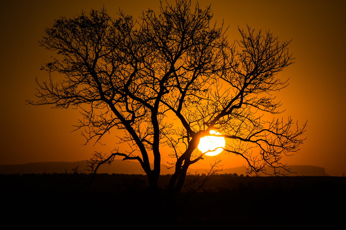 Sundowner 1 Sundowner 1