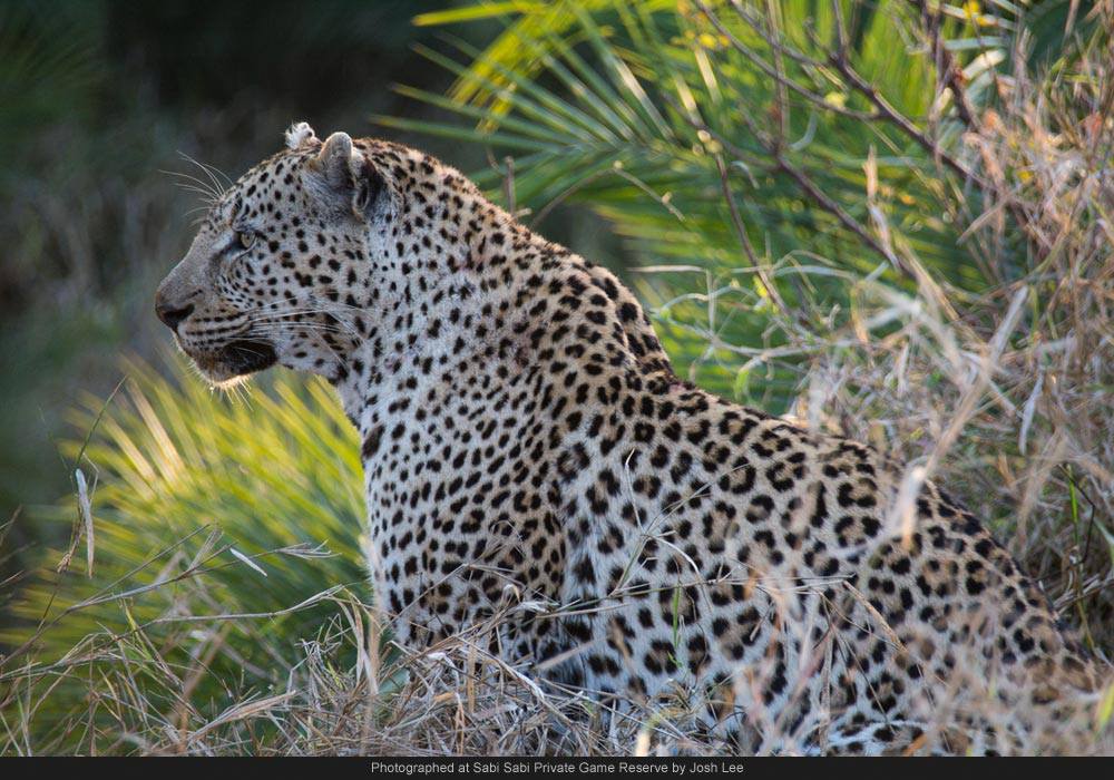 977930 549602085087447 803407402 O