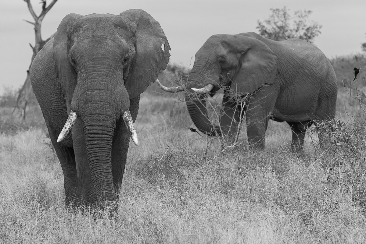 Cycleshighlightsjune13 26 N