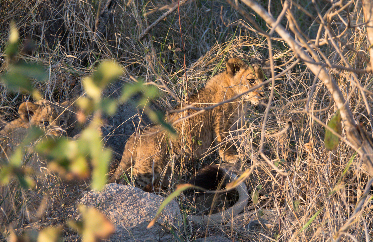 New Souther Pride Members Pic 7 7