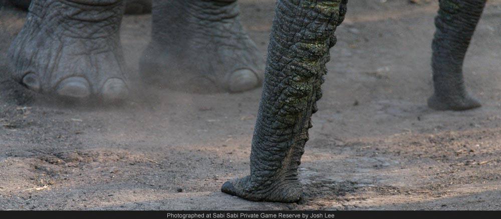 1272897 573541912693464 1813029089 O