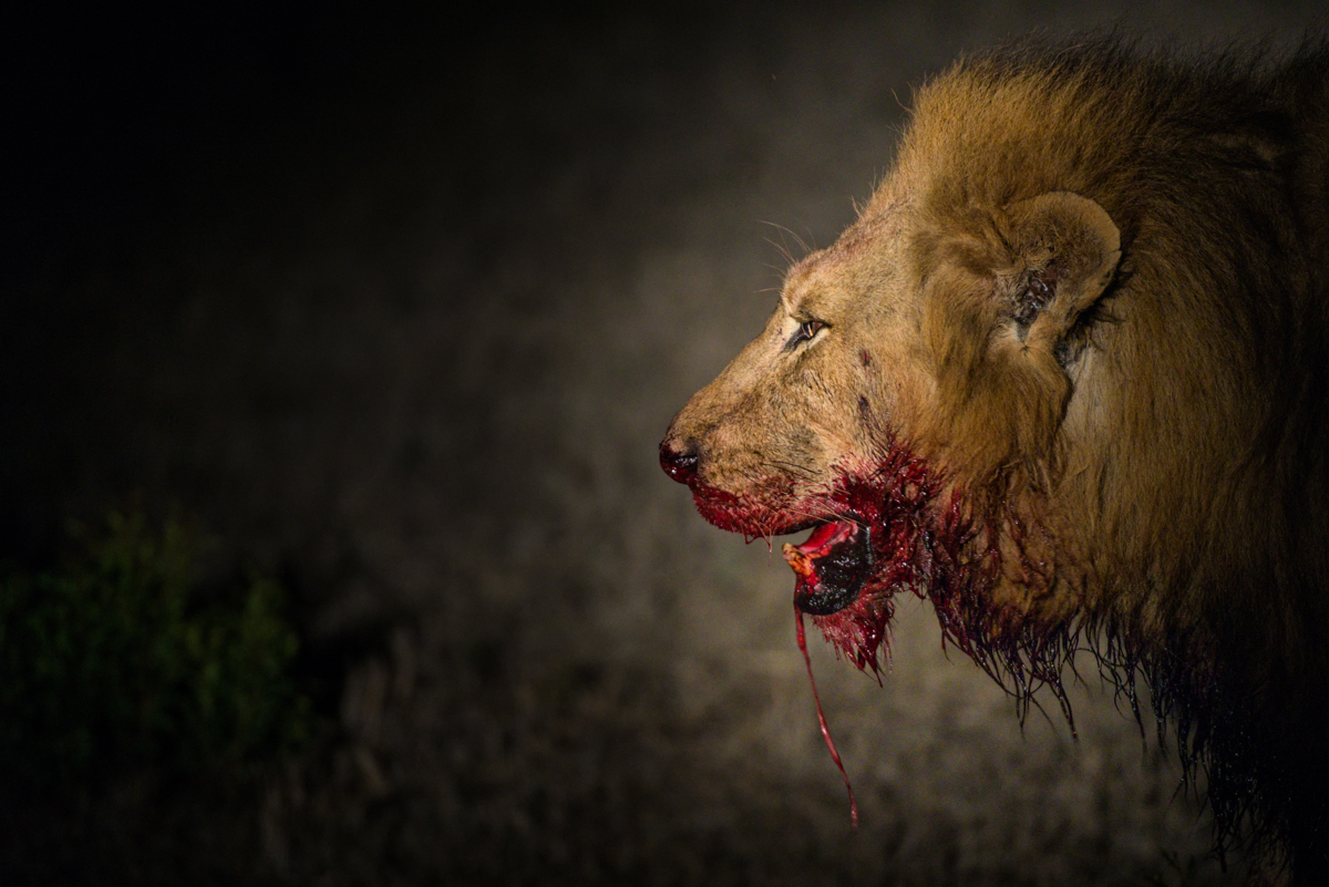 Soloattempt 3 Soloattempt 3