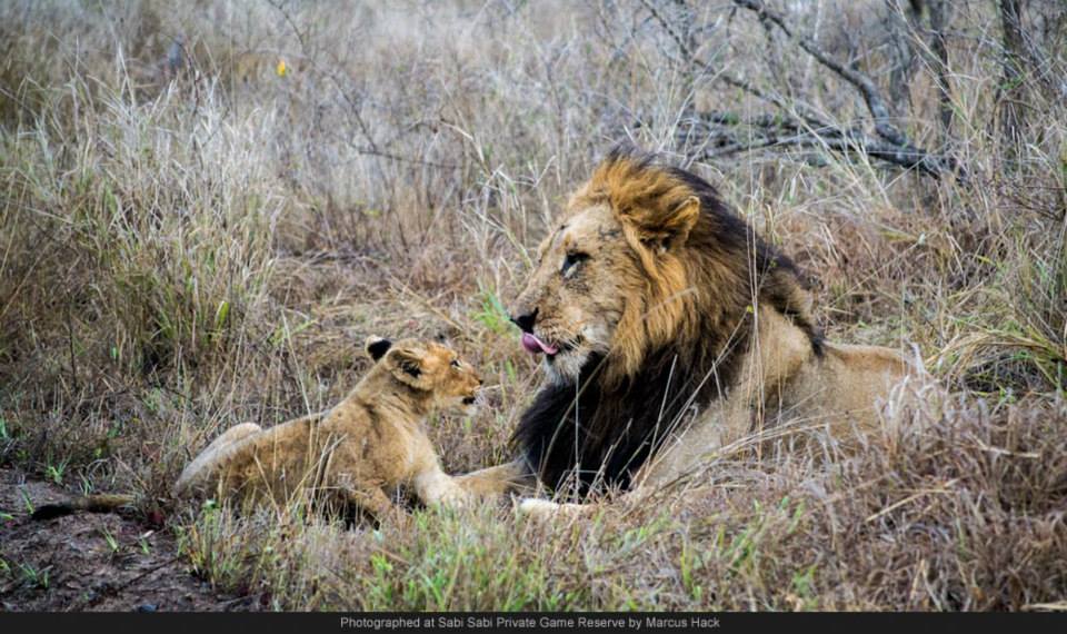 1391608 593082674072721 769651450 N