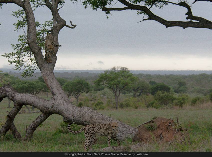 487397 597658970281758 619420416 N