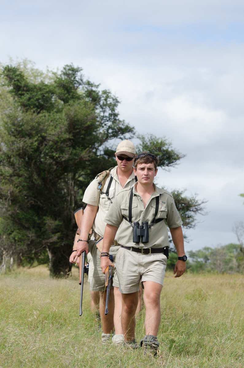 Walking Safari 3 Walking Safari 3