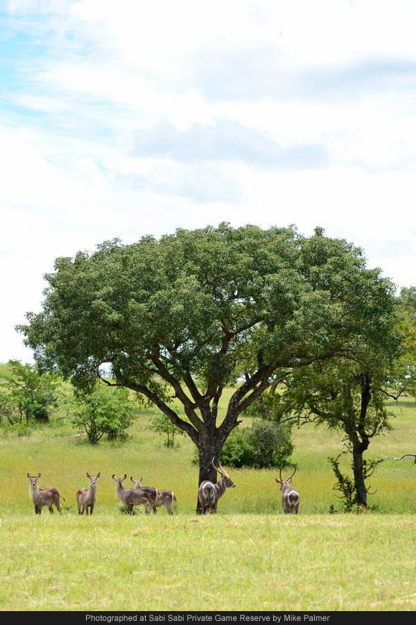 1489291 624846804229641 2034441539 N