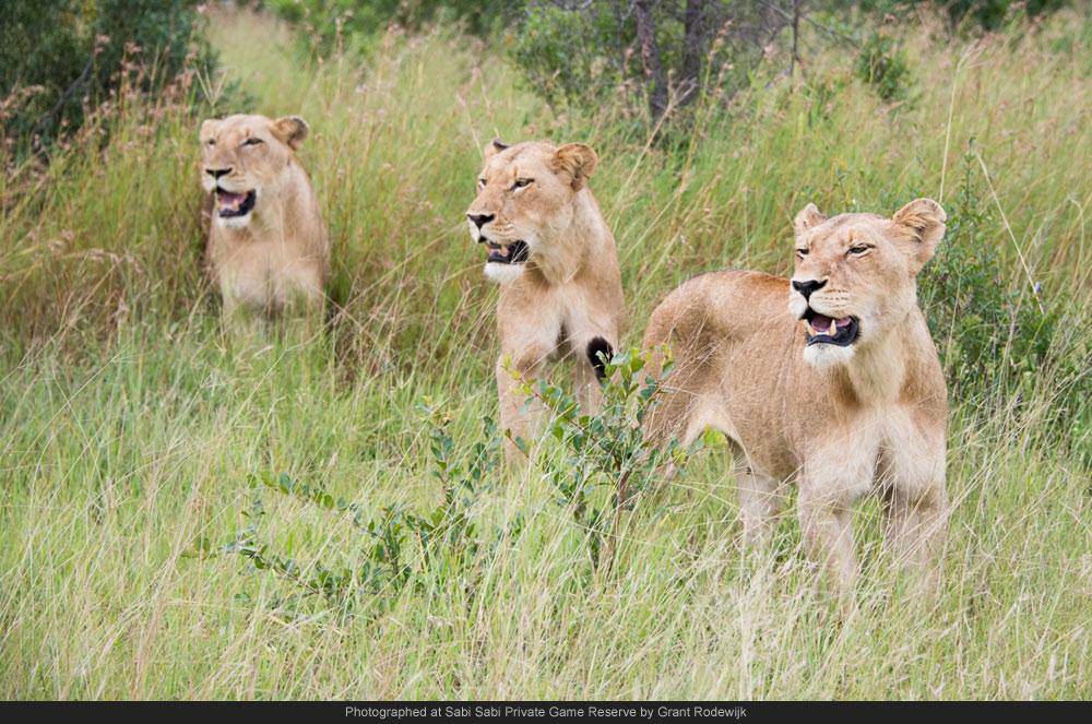 1553243 643771665670488 1530406014 O