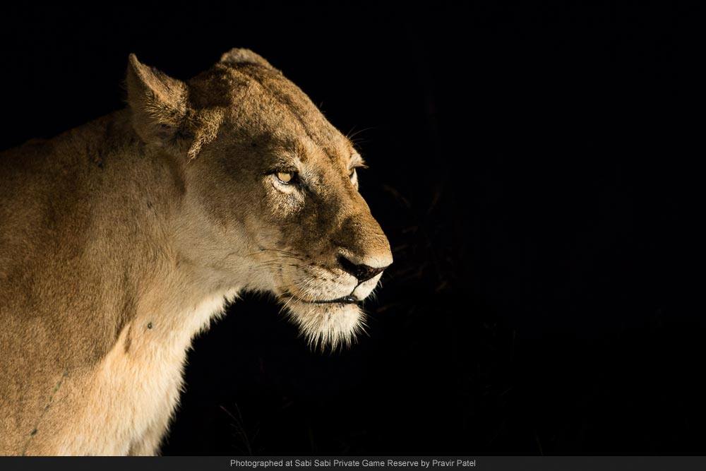 1496117 661067303940924 378897510 O